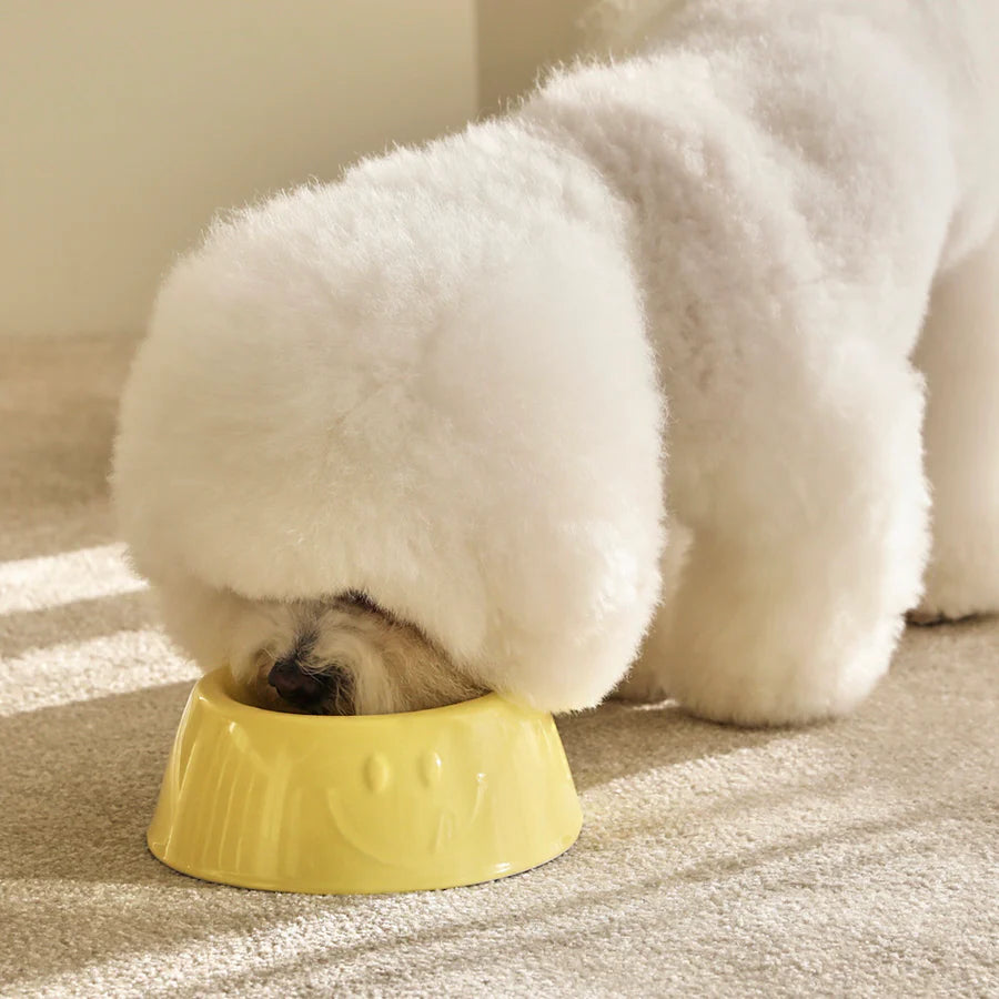 Smile Ceramic Bowl - 2 Colors