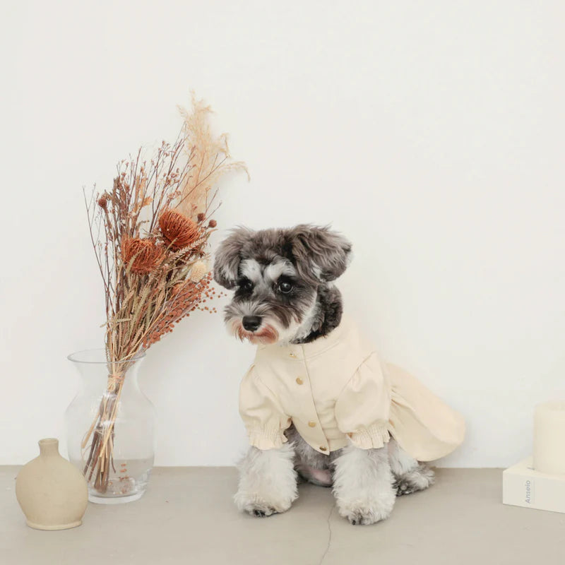 Denim Dress - Beige S/M