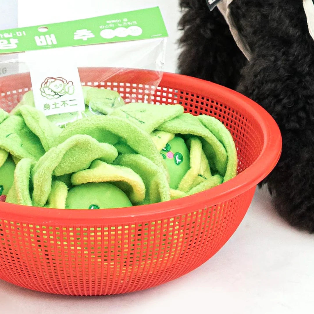 Cabbage Nosework Toy