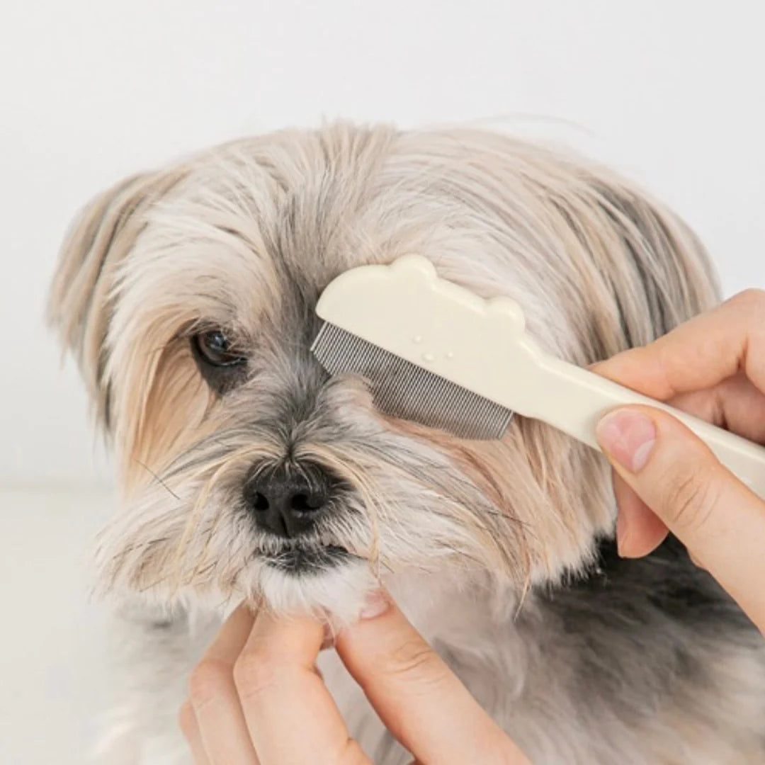Jelly Bear Round Face Comb