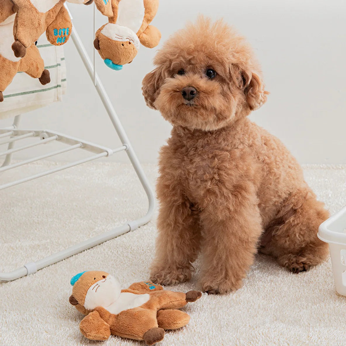 Hug Me Rope Tug Toy - Sea Otter