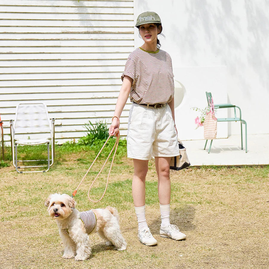 Vintage Stripe Crop Top - Olive
