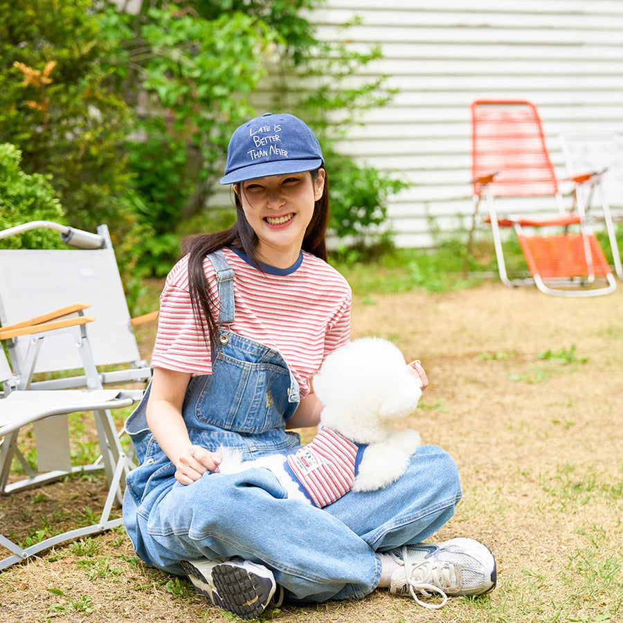 Vintage Stripe T-Shirt - Blue