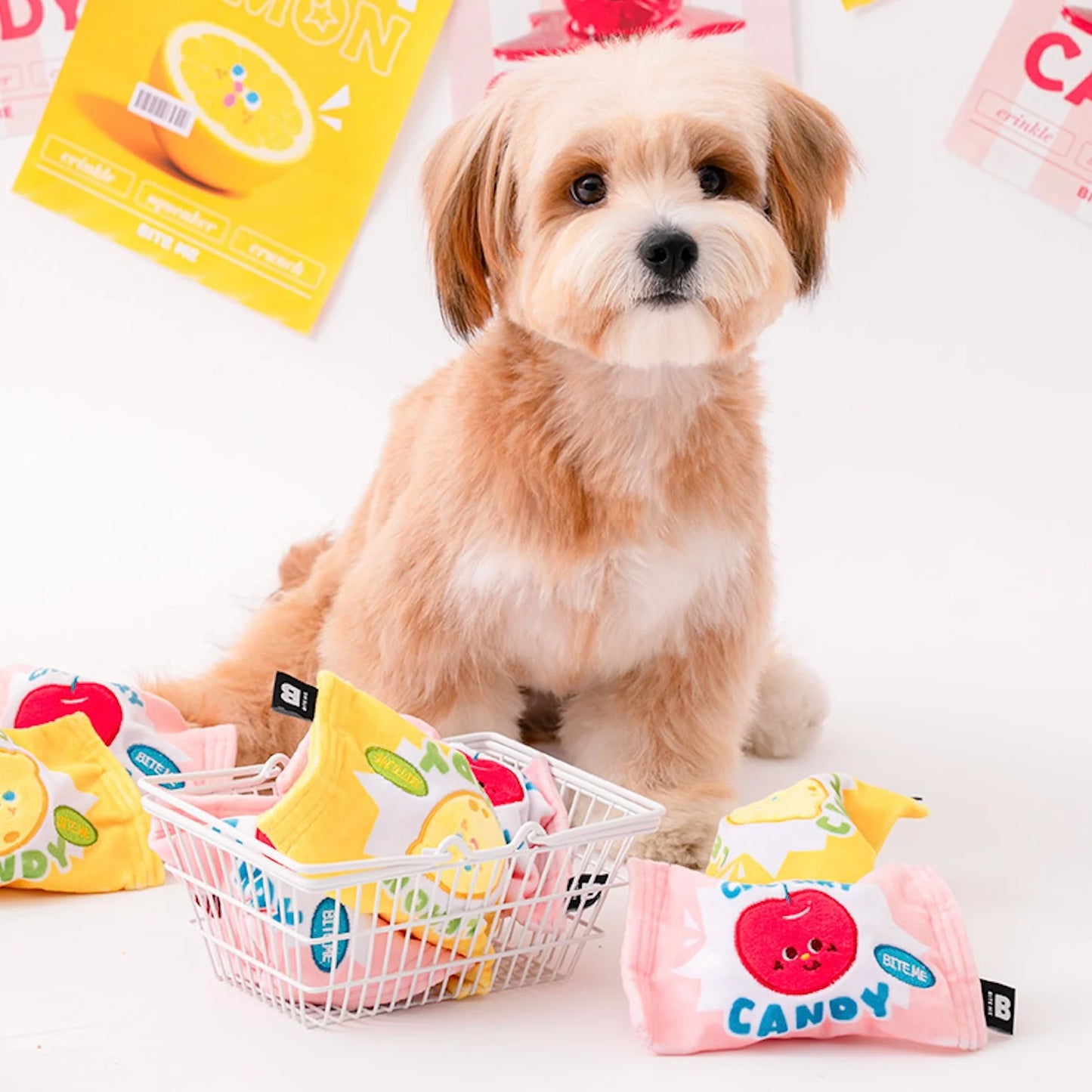 Crunchy Candy Ball Toy - Lemon & Cherry