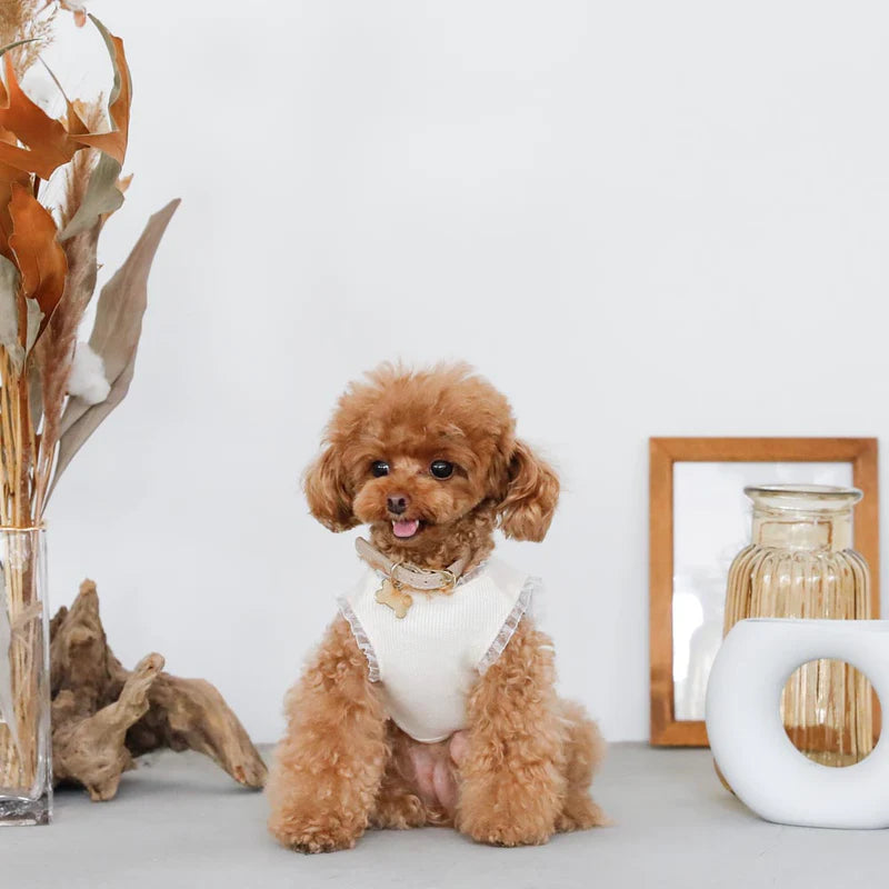 Frilled Knit Cherry Top - Ivory L