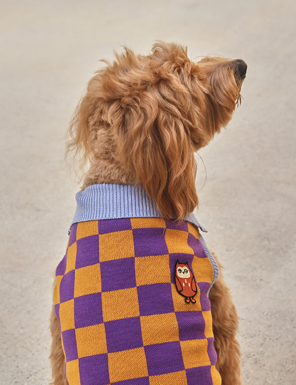 Mystery Owl Check Knit