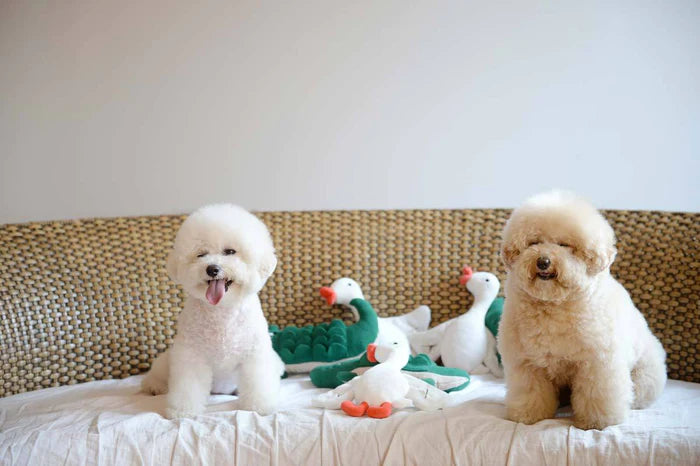 Lazy Crocodile Nosework Toy