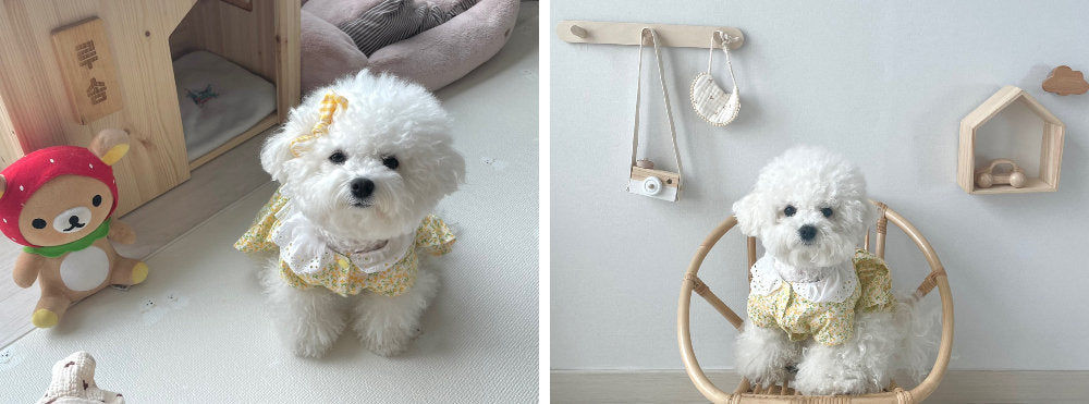 Floral Lace Yellow Print Dress - L