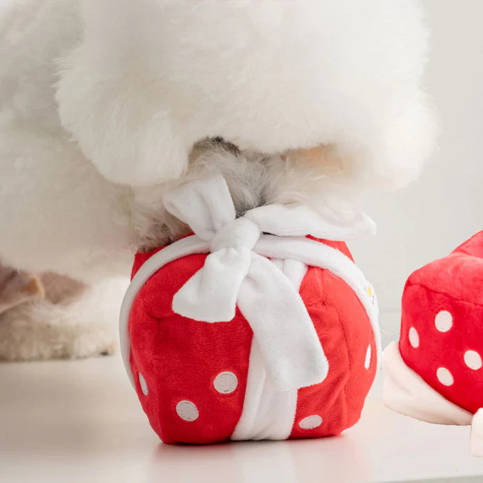 Gift Box Nosework