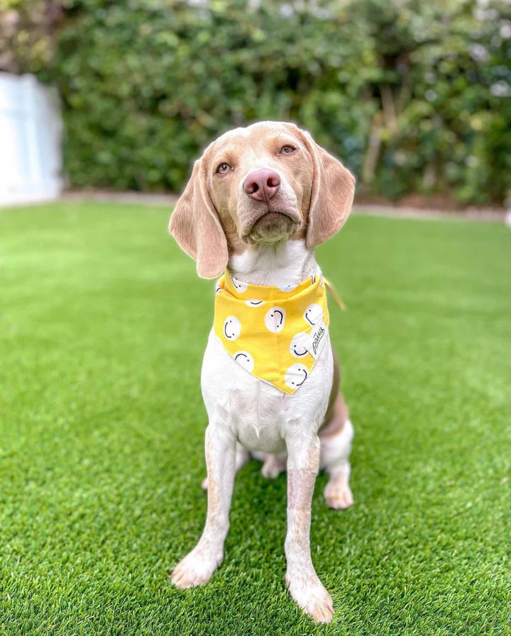Friends Bandana