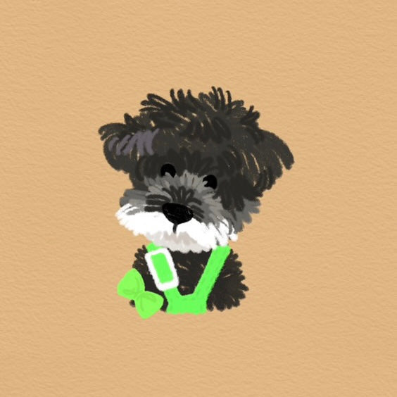 Custom Pet Illustration Keyring