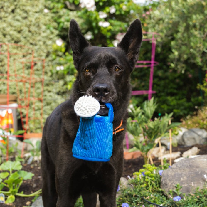 Blooming Buddies Toy - Wagging Watering Can