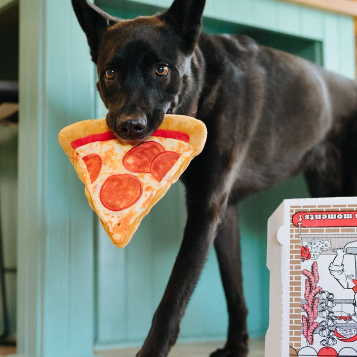 Snack Attack Toy - Puppyroni Pizza