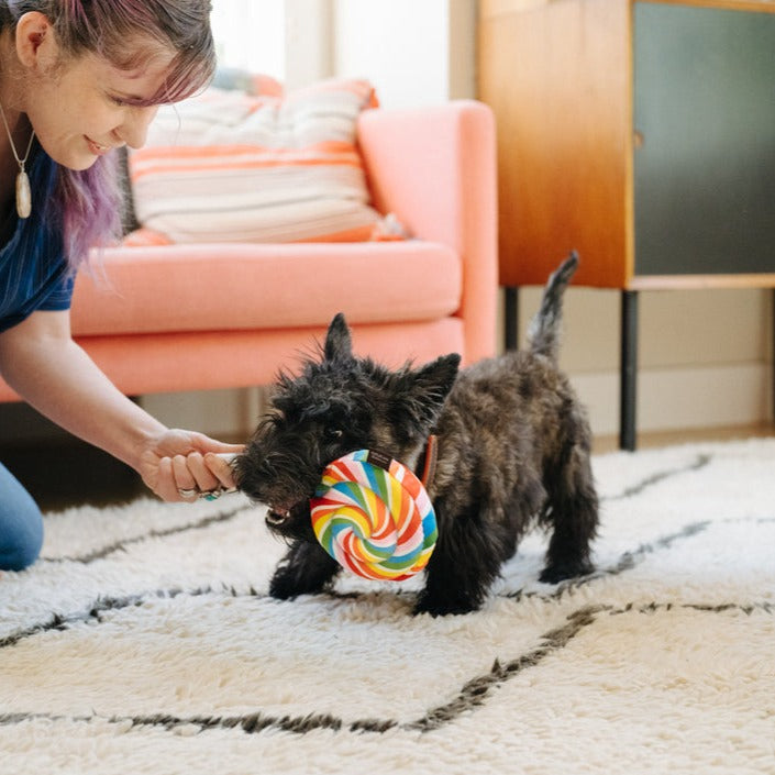 Snack Attack Toy - Lollipup