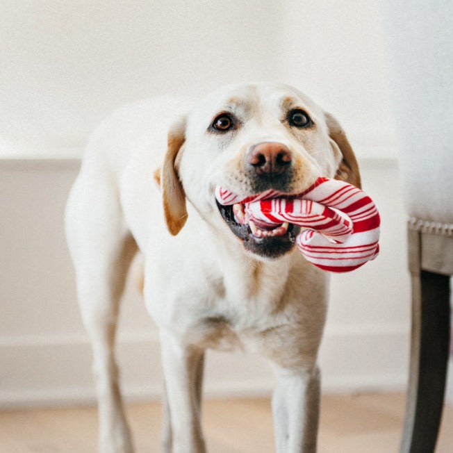 Holiday Classic Toy - Candy Canes