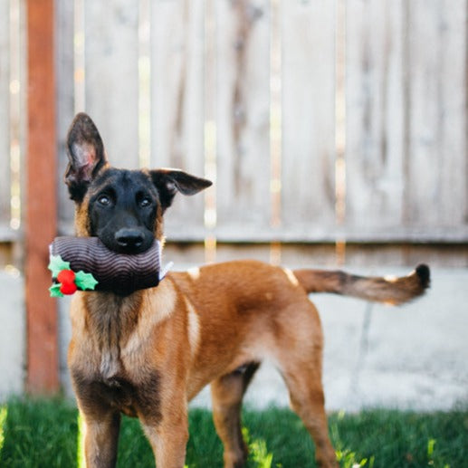 Holiday Classic Toy - Yuletide Log