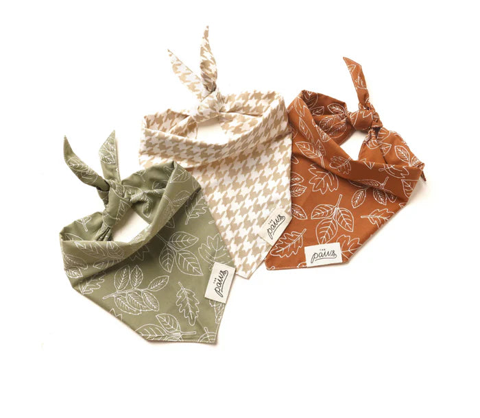 Sierra Daisies Bandana