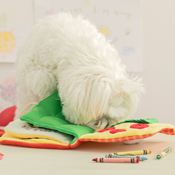 My Lunch Box Playbook Nose Work Toy