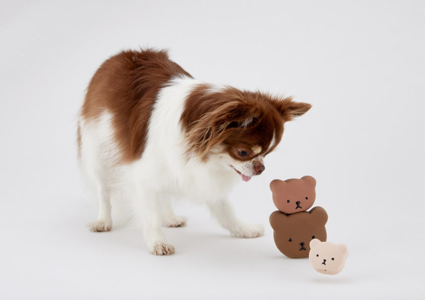 Bear Latex Toy - 3 Sizes