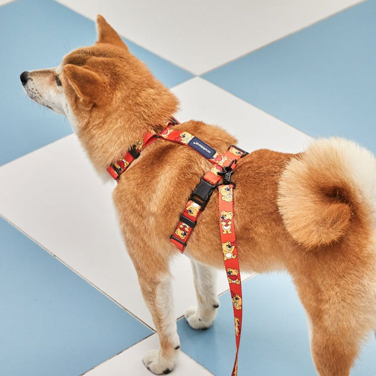 Joy Bear Pet Harness - Orange