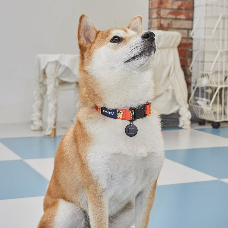 Joy Bear Pet Collar - Orange