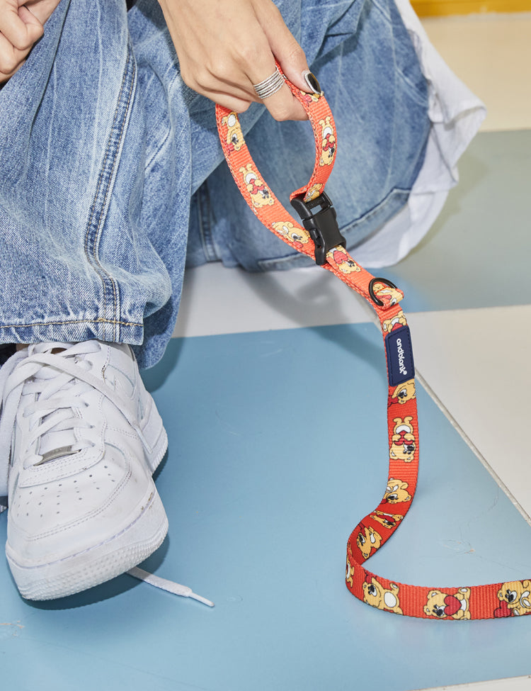 oy Bear Leash - Orange