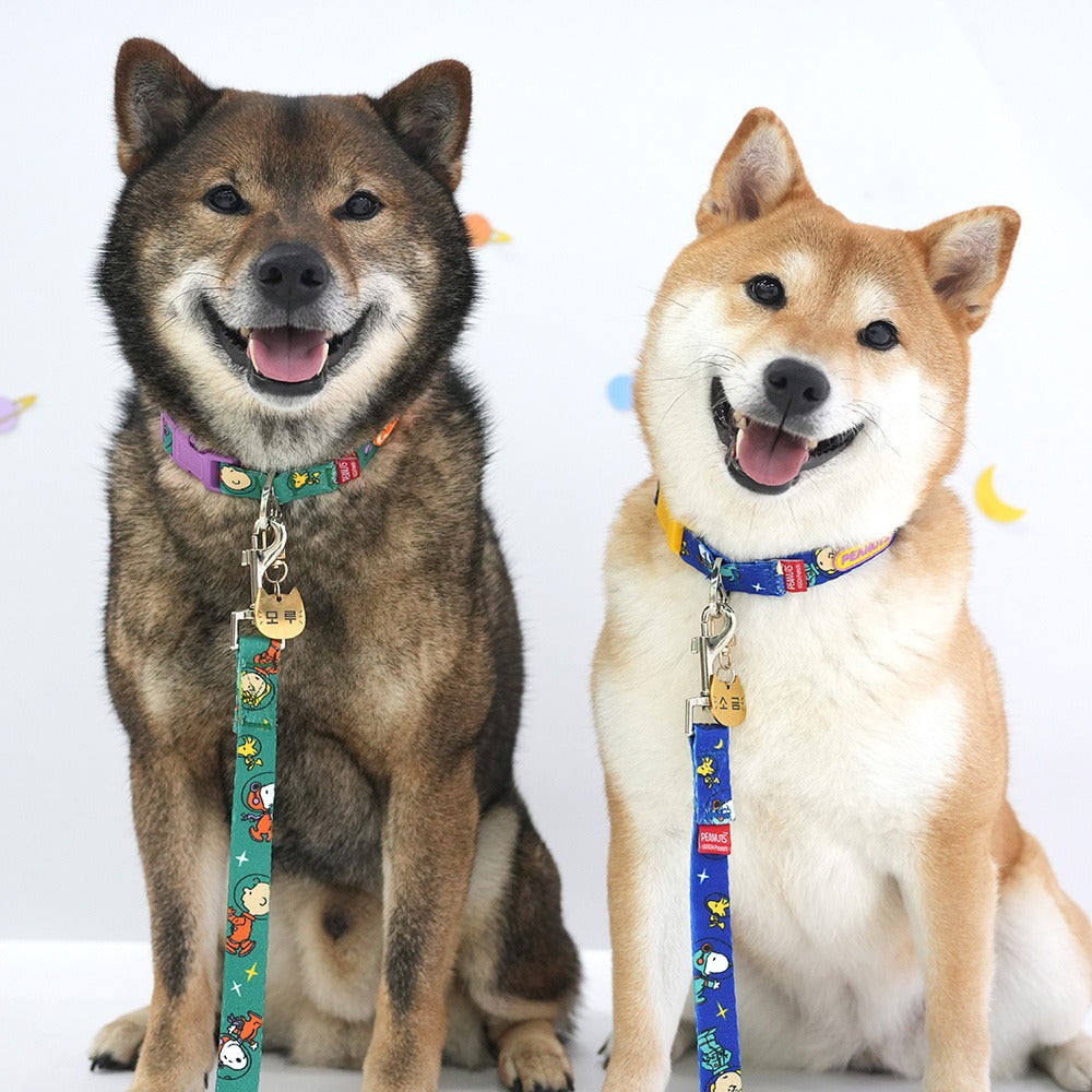 Snoopy Hands Free Leash - 4 Colors