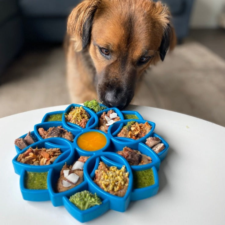 Mandala Etray Enrichment Tray - Blue