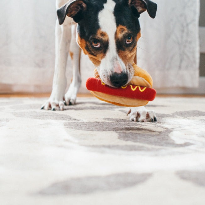 American Classic Toy - Hot Dog