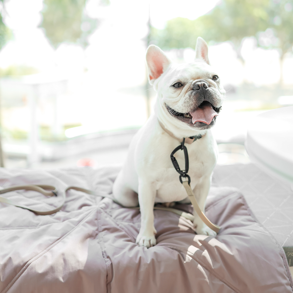 ORII Ultra Light Travel Mat - Plum