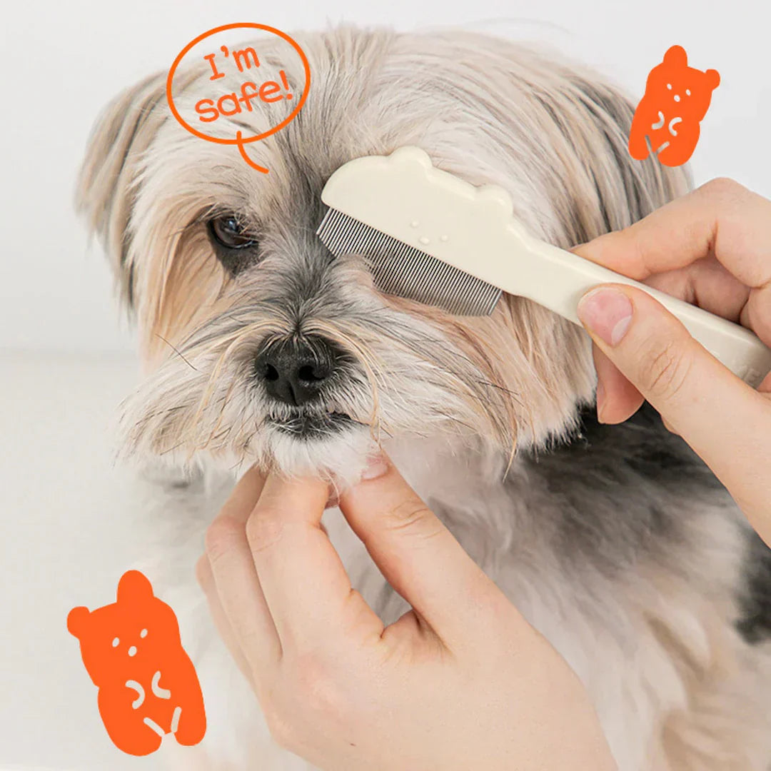 Why Korean Pet Brands Feel Different