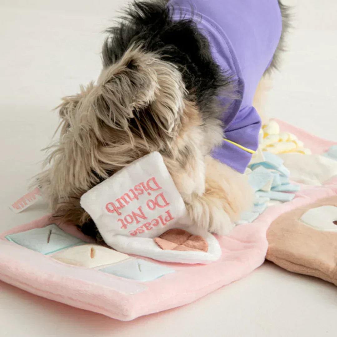How We Choose Pet Toys at OHMO