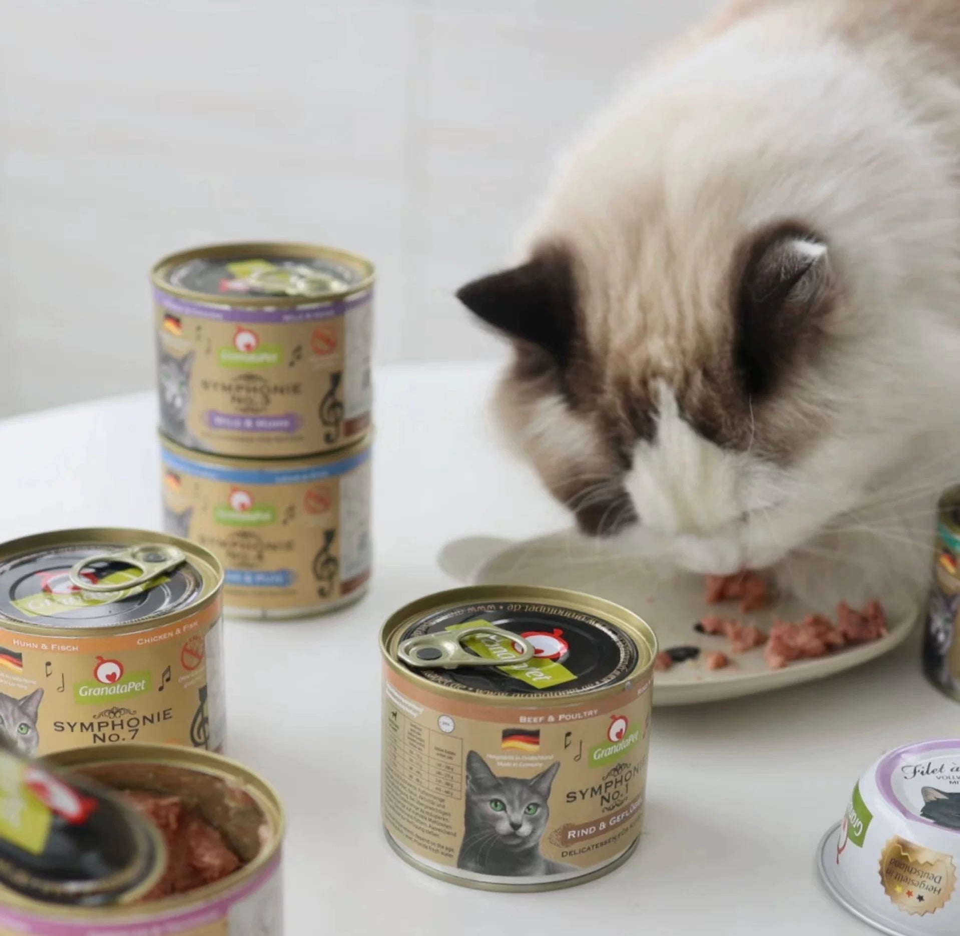 Why Is My Pet So Picky? A Few Things That May Help