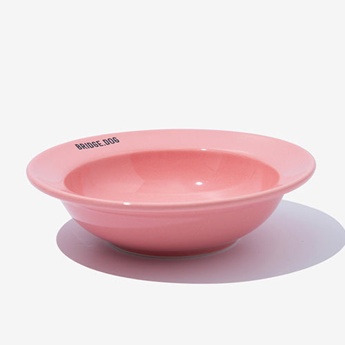 Mini Dish - Coral Pink Glossy