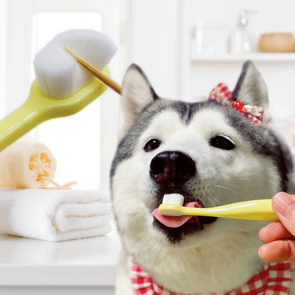 Pet Micro Toothbrush - 3 Colors