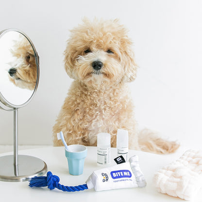 Toothpaste Tug Toy