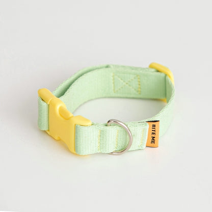 Candy Crayon Collar - 6 Colors