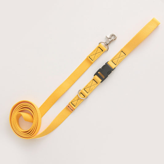 Candy Crayon Leash - 6 Colors