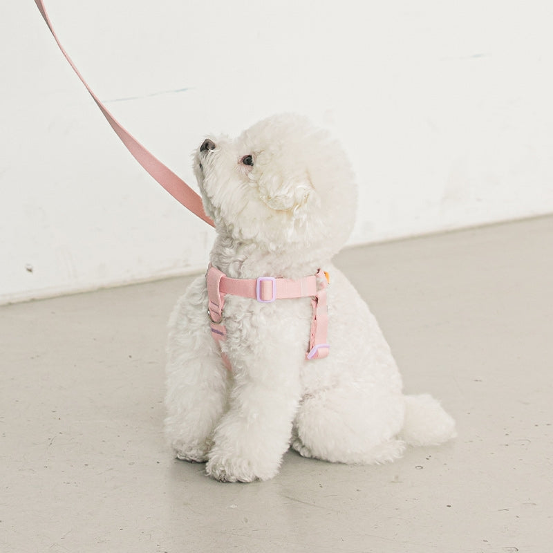 Candy Crayon Harness - 6 Colors