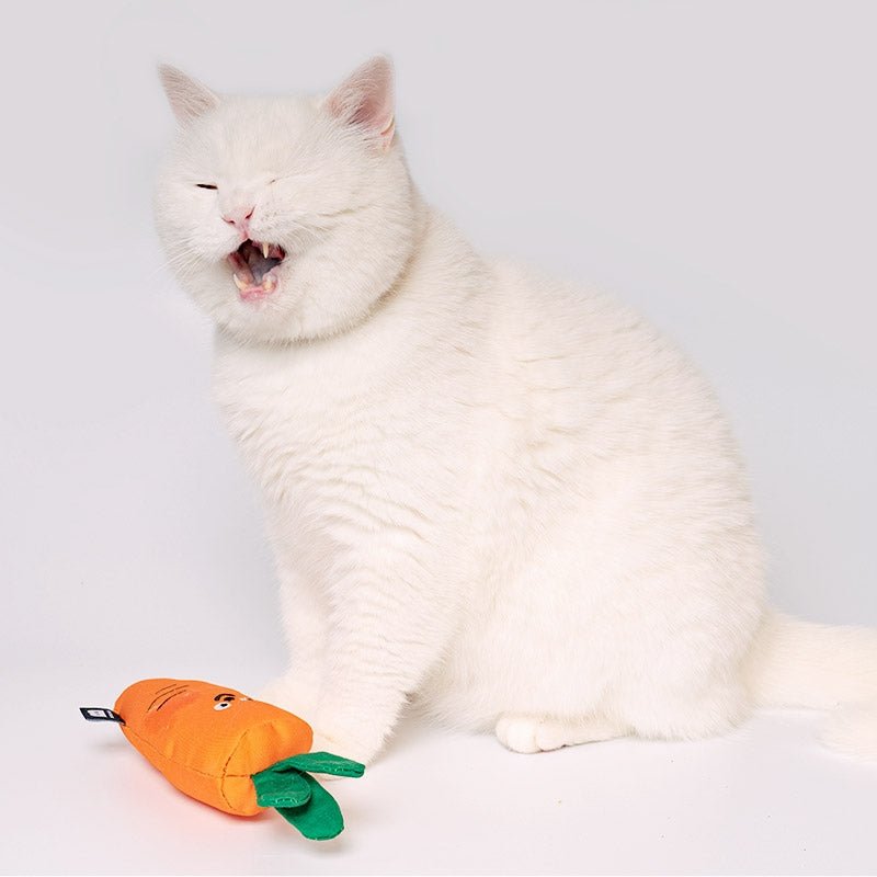 Carrot Catnip Cat Toy