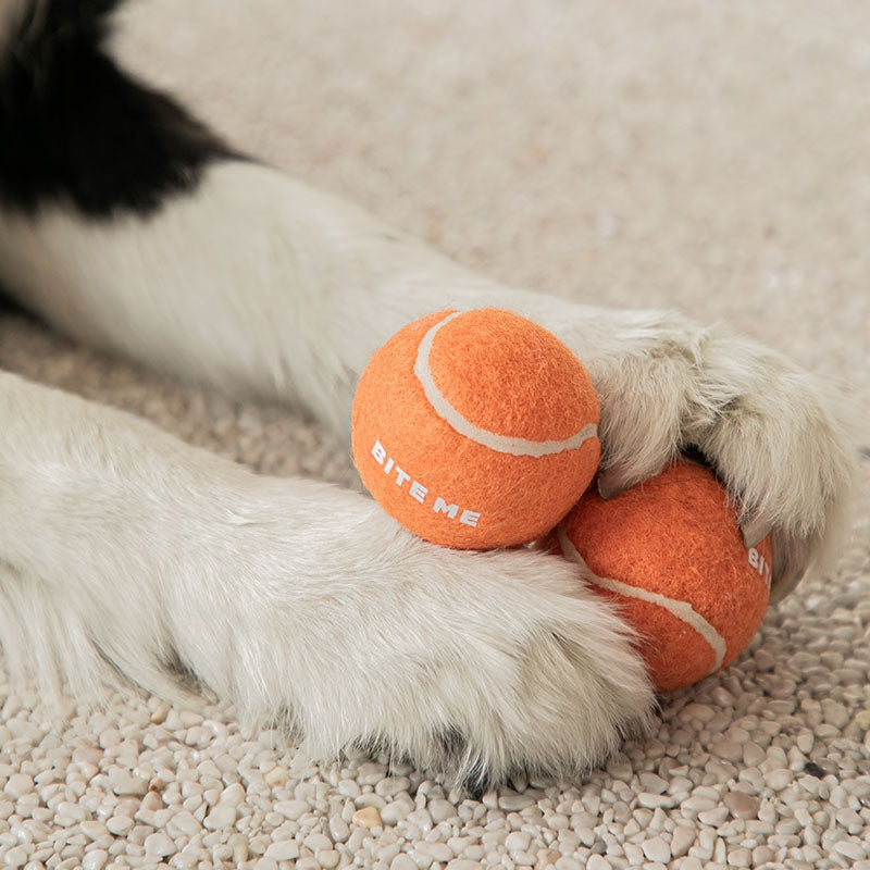 Mini Tennis Ball Toy