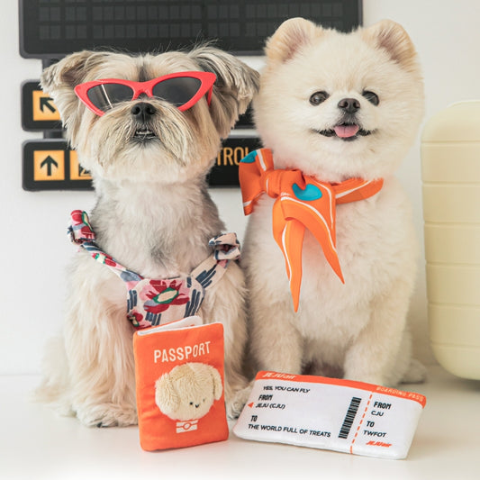 Pet Passport & Ticket Nosework Toy