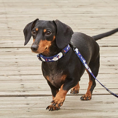 Flying Duck Pet Collar - Blue