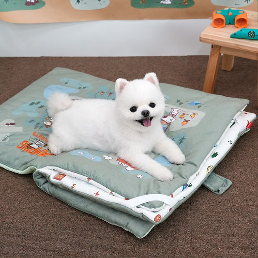 Snoopy Beagle Scout Book Pet Mat