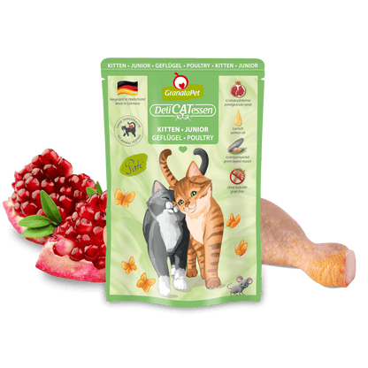 DeliCatessen Cat Wet Food - Kitten/Junior Poultry