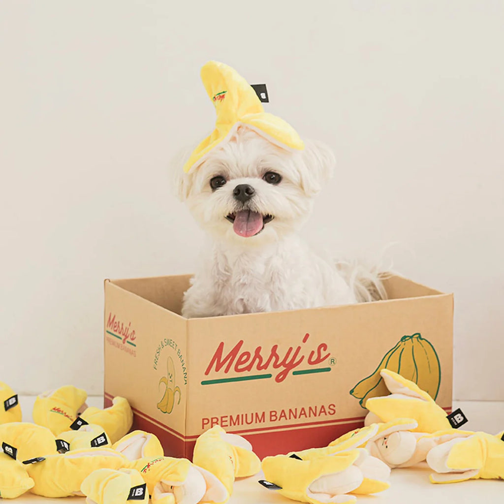 Banana Nosework Toy