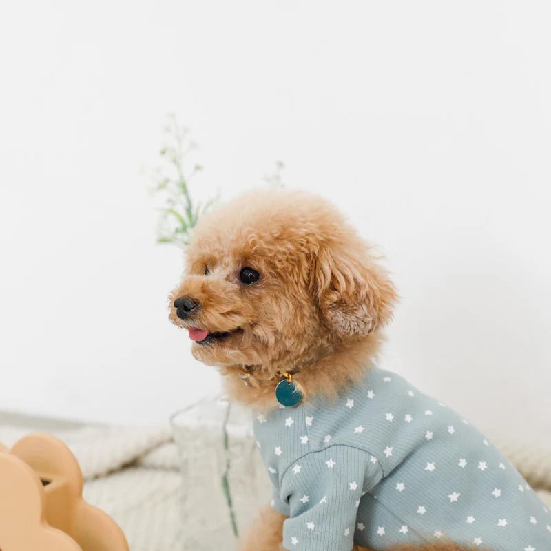 Star Pattern Ribbed Top - S