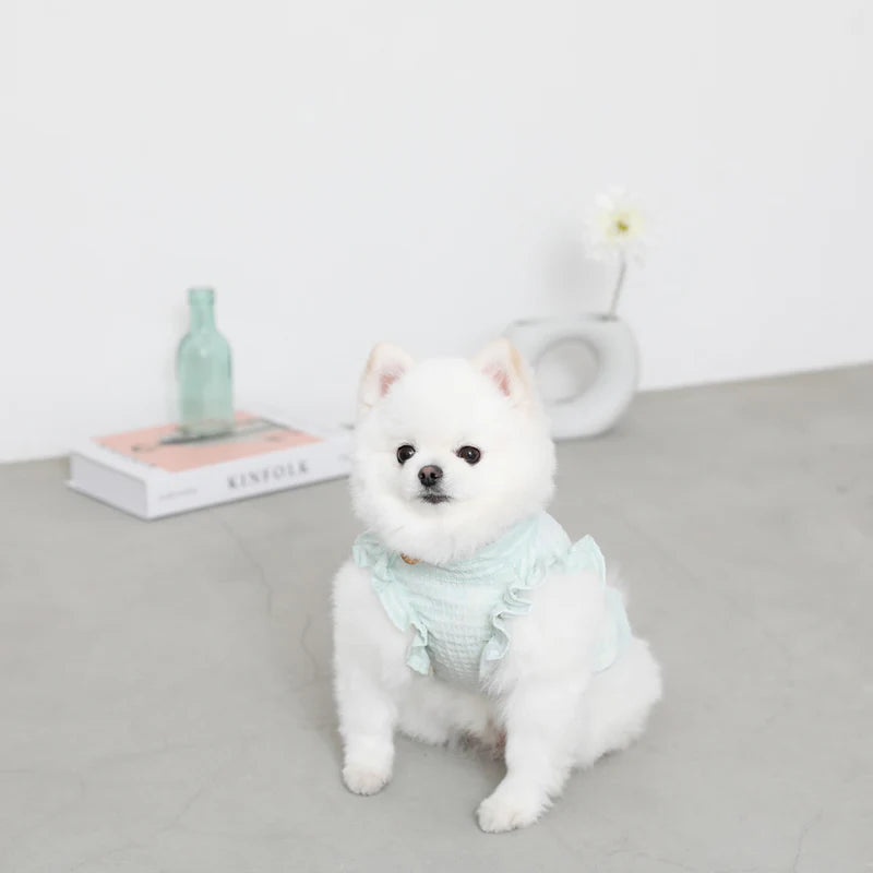 Sheer Check Frill Shirt - Mint M