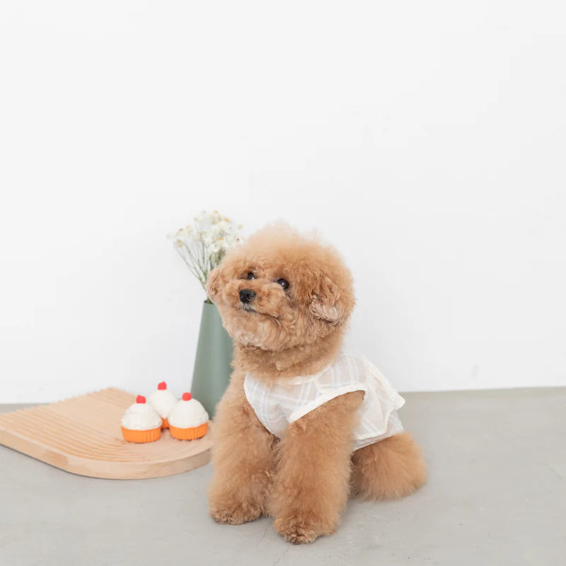 Check Frill Top - 2 Colors M