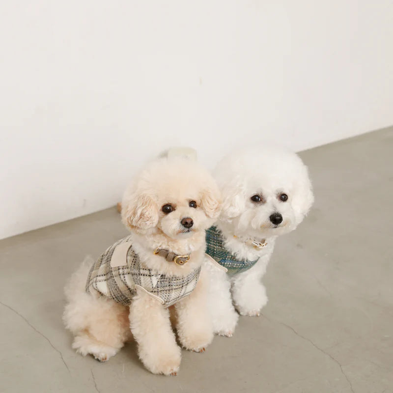 Check Pattern Vest - Ivory S